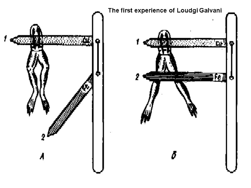 The first experience of Loudgi Galvani